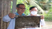Nghề nuôi ong lấy mật giúp nông dân Bạc Liêu tăng thu nhập