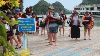 Quảng Ninh: Lên phương án hút khách du lịch quốc tế
