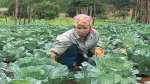 Phát triển kinh tế nông nghiệp Sơn La cần những đột phá mới