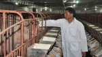 Từng suýt phá sản, Hợp tác xã này ở Hà Nội vượt khó nhờ chăn nuôi khép kín