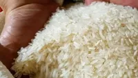 Ấn Độ cấm xuất khẩu gạo, Bộ Công Thương tức tốc chỉ đạo
