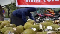 Bộ trưởng đề nghị các địa phương vận động người Việt tiêu thụ nông sản
