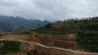 Vụ hủy hoại đất rừng đỉnh Cun: Chủ tịch UBND TP Hòa Bình buông lỏng quản lý đất đai