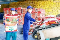 Công ty Cổ phần Supe Phốt phát và Hóa chất Lâm Thao: Lá cờ đầu trong ngành sản xuất phân bón tại Việt Nam