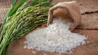 Giá gạo xuất khẩu của Việt Nam và các nông sản kỳ hạn của Mỹ đều tăng