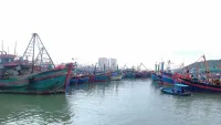 Khánh Hòa triển khai nhiều biện pháp chống khai thác thủy sản bất hợp pháp